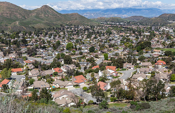 Pest & Termite Control for La Habra CA